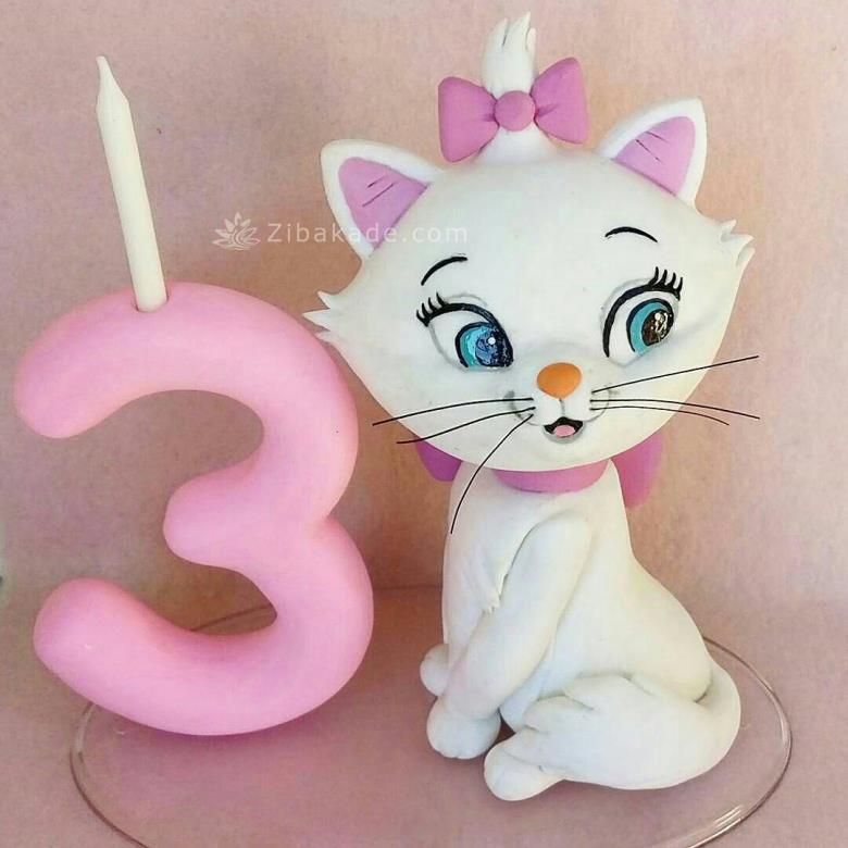 تم تولد گربه های اشرافی